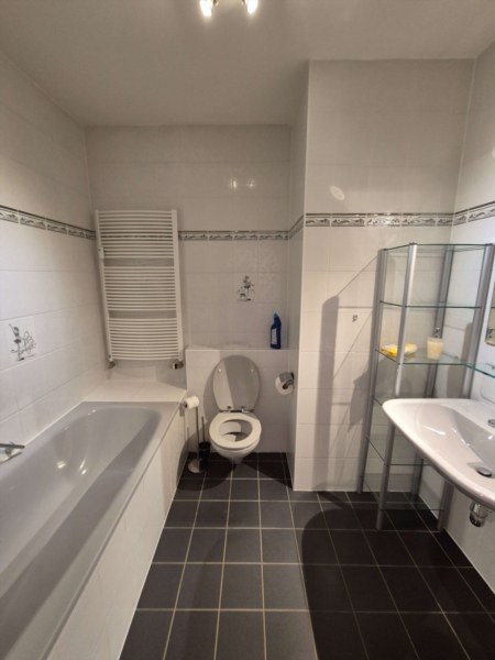 Image 1 : Sanitaire à Bertrange : Lux Salle de Bain Sàrl