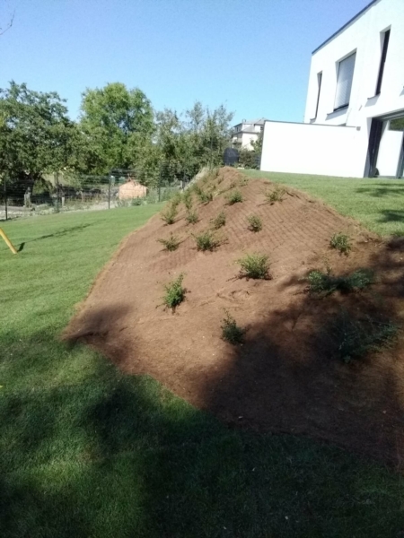 Image 2 : Jardinier à Frisange : Brico Jardin Hugo Rafael