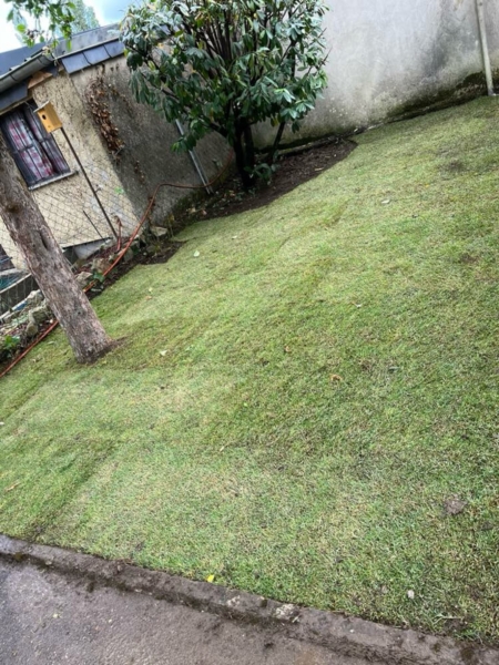 Image 1 : Aménagement paysager à Dudelange : Natural Garden's Cardose & Fortes SARLS