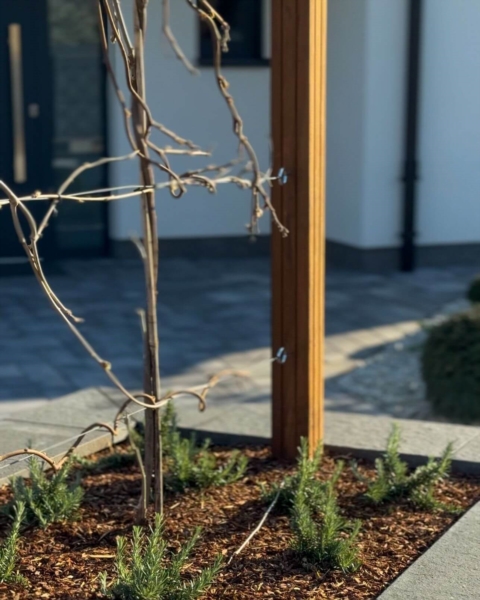 Image 1 : Jardinier à Esch-sur-Alzette : S&T Creation Sàrl