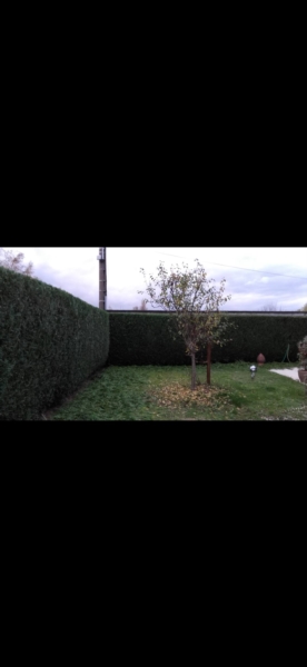 Image 1 : Spécialiste aménagement jardin à Bertrange : TMB Green-Lux Sarl