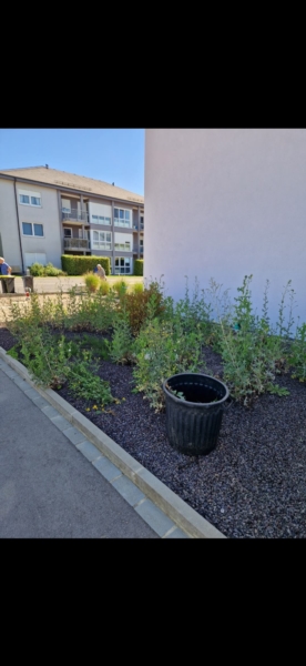 Image 5 : Spécialiste aménagement jardin à Bertrange : TMB Green-Lux Sarl