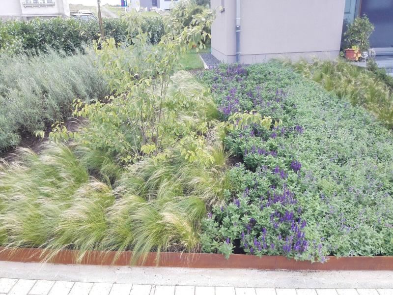 Image 1 : Service de jardinage à Wasserbillig : Boesen Ihr Gaertner Sàrl