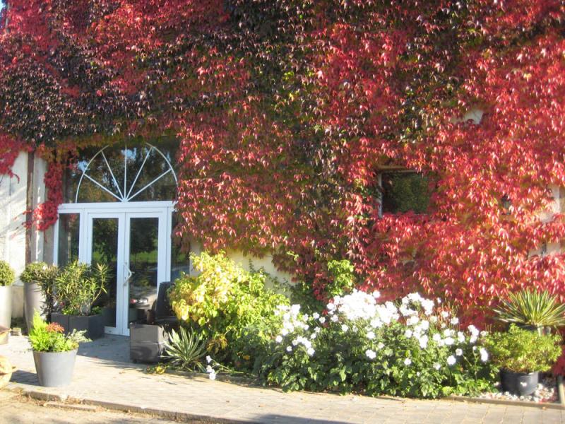 Image 1 : Spécialiste aménagement jardin à Hivange : Blumenthal Jardinage & Hydroculture