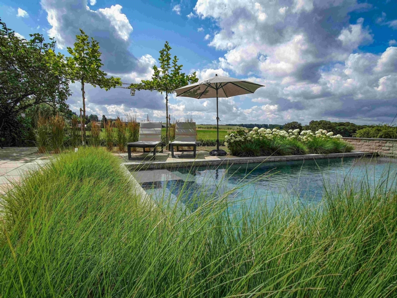 Image 3 : Jardin et espace vert à Tandel : Pépinières Gillen Sàrl