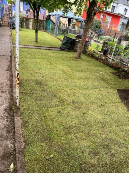 Image 3 : Aménagement paysager à Dudelange : Natural Garden's Cardose & Fortes SARLS