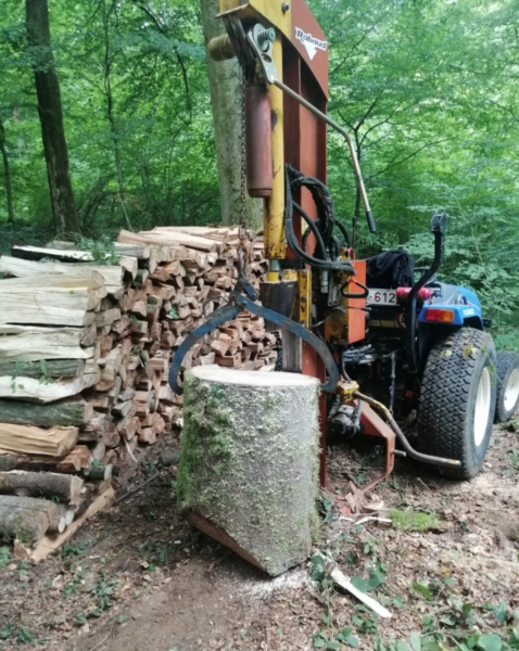 Image 2 : Coupe et taille d’arbres à Arlon : Krafft - Leblanc