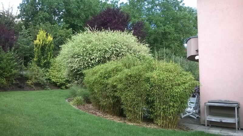 Image 3 : Service de jardinage à Wasserbillig : Boesen Ihr Gaertner Sàrl