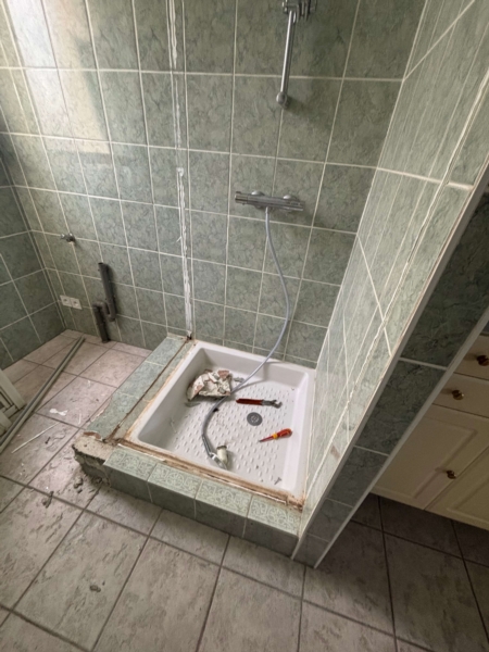 Image 4 : Service de rénovation à Bettembourg : LUX-Properties-Multiservices&facility