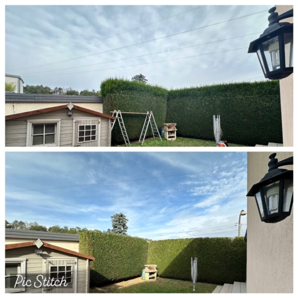 Image 6 : Spécialiste aménagement jardin à Bertrange : TMB Green-Lux Sarl