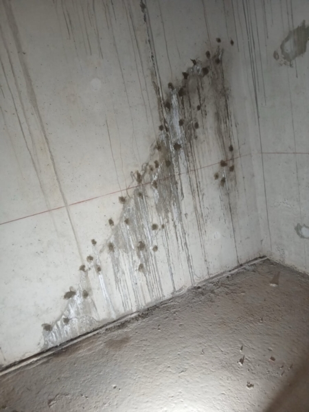 Image 5 : Étanchéité du bâtiment à Keispelt : Luxembourg Injection Service