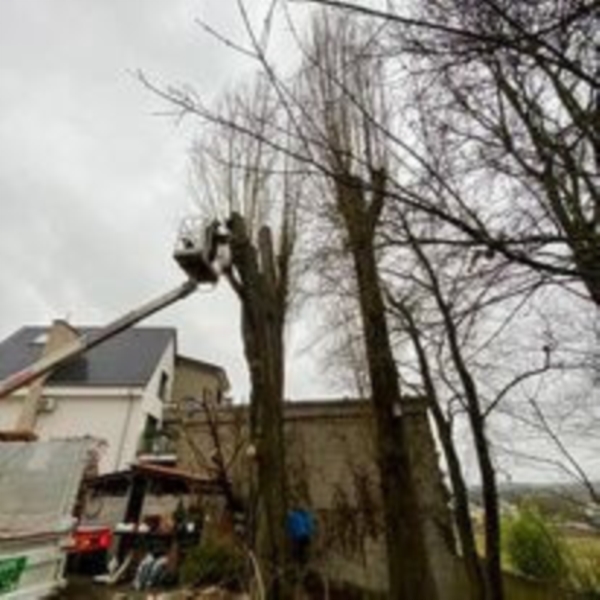 Image 1 : Service de jardinage à Differdange : L&S Green Creations Sàrl