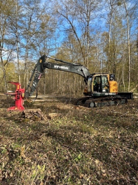 Image 1 : Exploitation forestière à Steinfort : Goffinet Bois SA