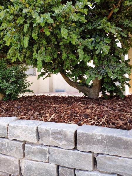 Image 4 : Spécialiste aménagement jardin à Colmar-Berg : Luxforêt et Jardin Sàrl