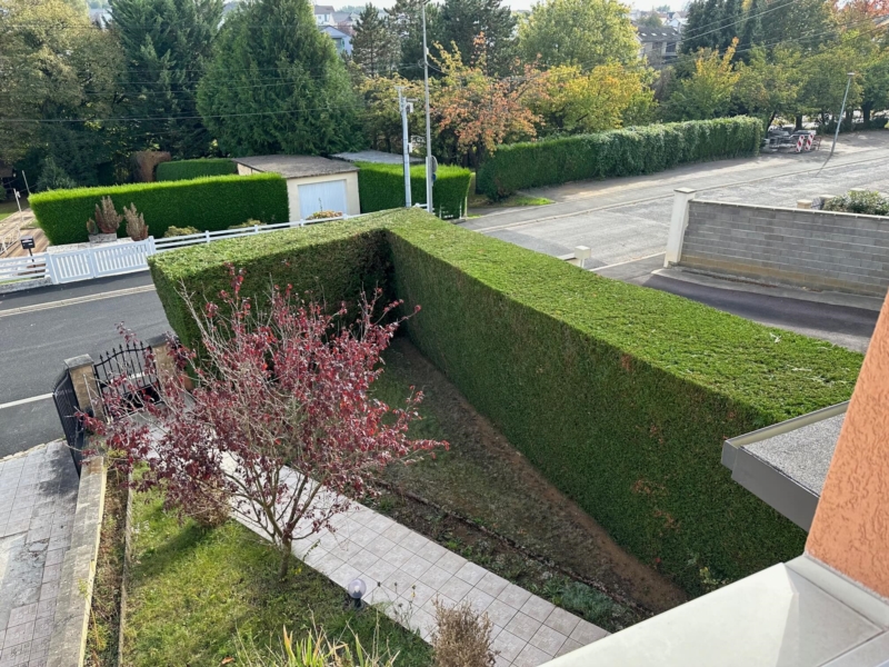 Image 7 : Spécialiste aménagement jardin à Bertrange : TMB Green-Lux Sarl