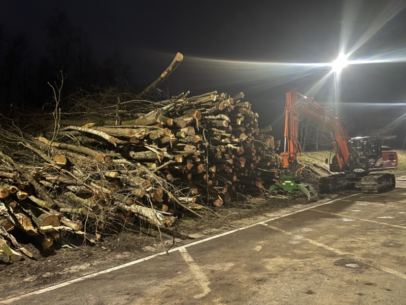 Image 7 : Travaux et exploitation forestière à Weiswampach : Emoforest