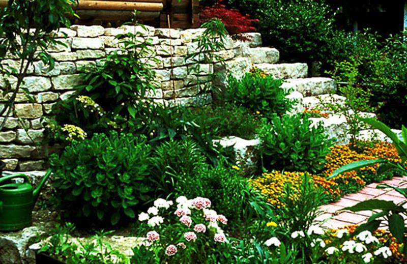 Image 3 : Service de jardinage à Mertert : Gartenbau und Landschaftsbau Mock