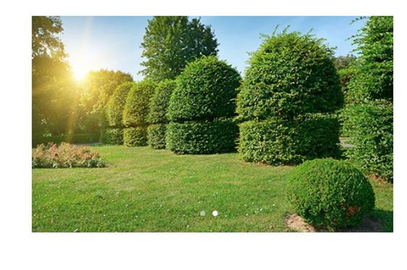 Image 1 : Service de jardinage à Diekirch : Gardenhome Jardinage