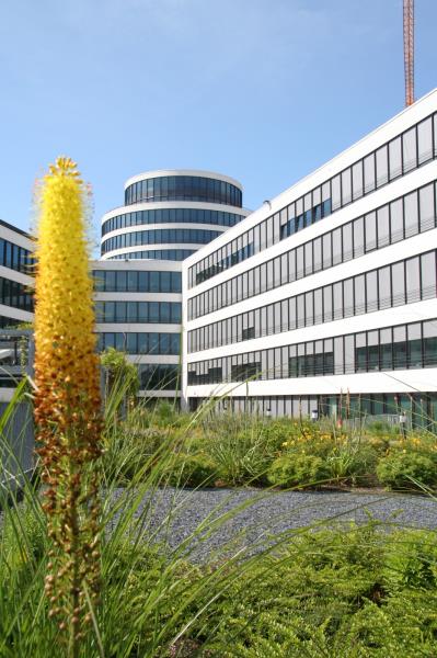 Image 1 : Architecte-Urbaniste à Hosingen : MDL - Maja Devetak Landschaftsarchitektur Sàrl