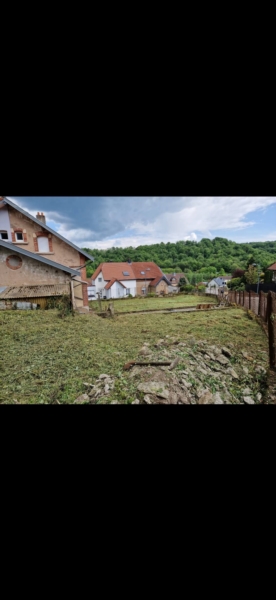 Image 10 : Spécialiste aménagement jardin à Bertrange : TMB Green-Lux Sarl