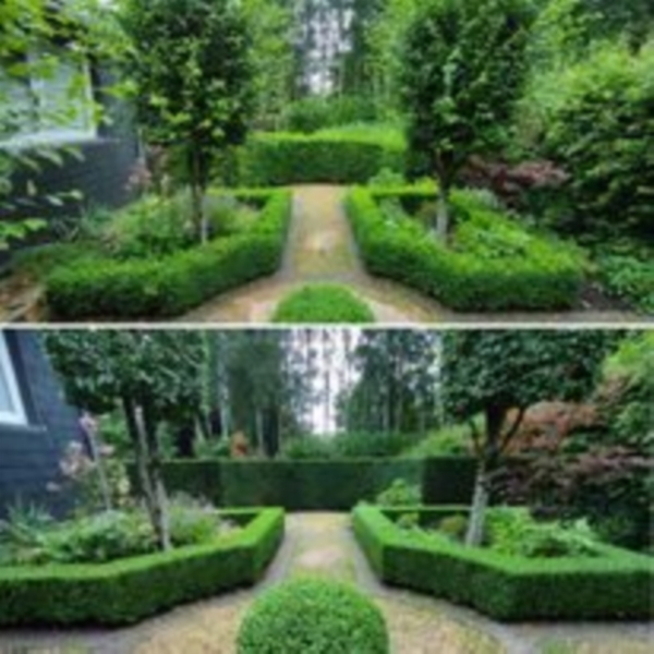 Image 3 : Jardin et espace vert à Rombach-Martelange : Jard'in Arel