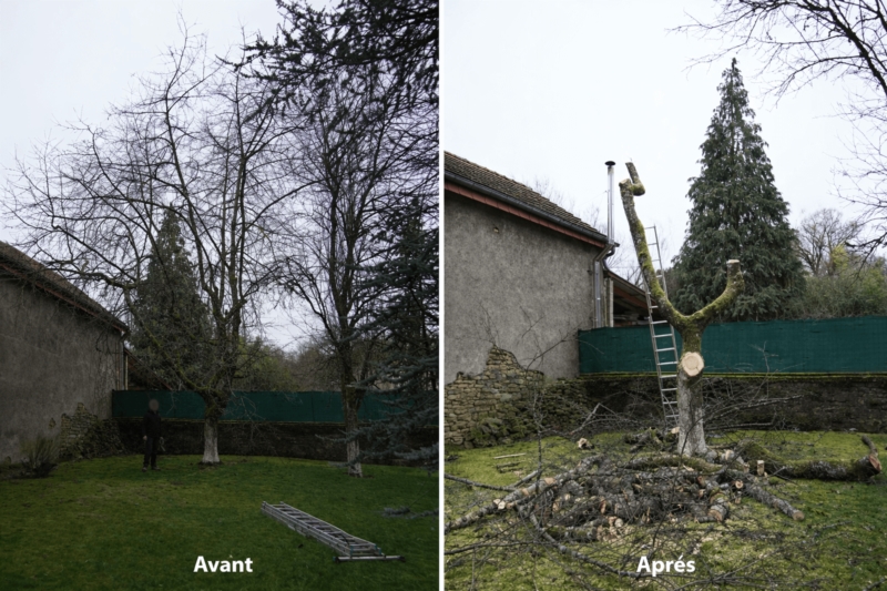 Image 2 : Aménagement paysager à Villers-la-Montagne : Eco Tonte