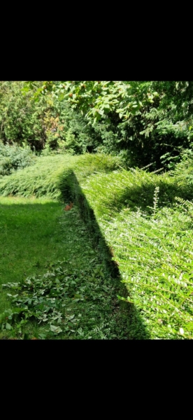 Image 15 : Spécialiste aménagement jardin à Bertrange : TMB Green-Lux Sarl