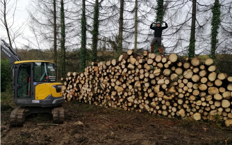 Image 4 : Coupe et taille d’arbres à Arlon : Krafft - Leblanc