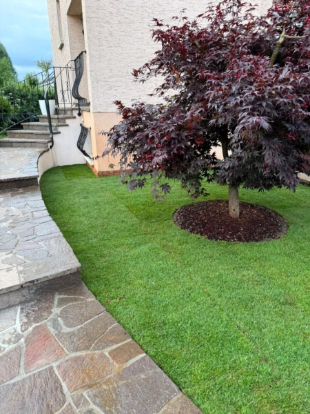 Image 2 : Jardin et espace vert à Bettembourg : Jardins Verts Sàrl