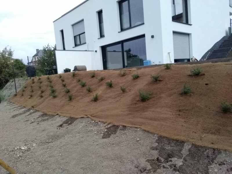 Image 11 : Jardinier à Frisange : Brico Jardin Hugo Rafael
