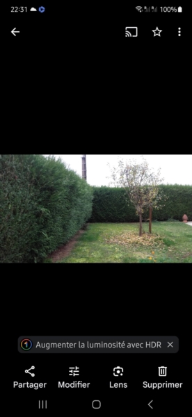 Image 16 : Spécialiste aménagement jardin à Bertrange : TMB Green-Lux Sarl