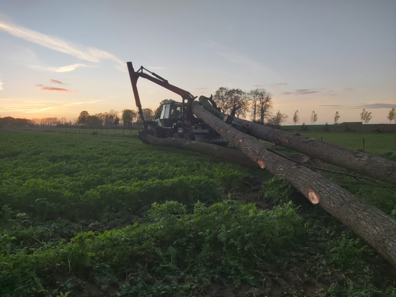 Image 9 : Travaux et exploitation forestière à Weiswampach : Emoforest