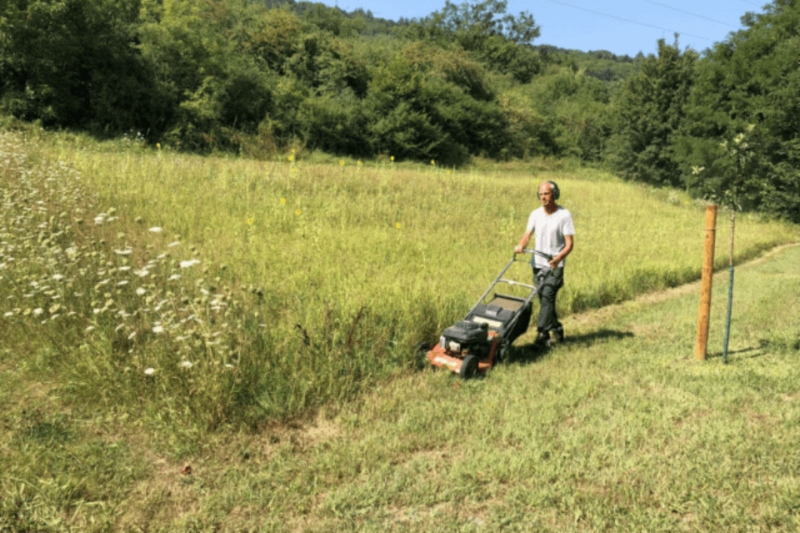 Image 3 : Réinsertion professionnelle à Bascharage : ProActif SIS