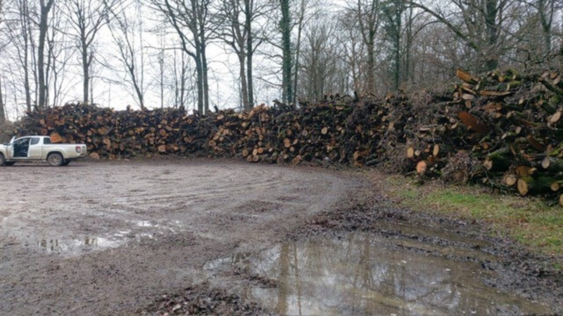 Image 2 : Exploitation forestière à Steinfort : Goffinet Bois SA
