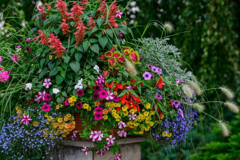 Image 2 : Aménagement paysager à Dudelange : Joca Innovation Sàrl