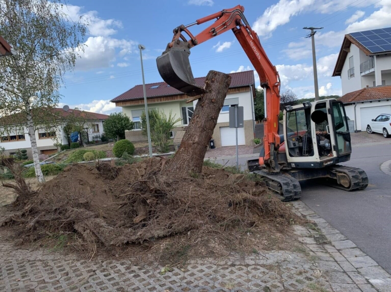 Image 6 : Aménagement paysager à Schengen : Lux Garten