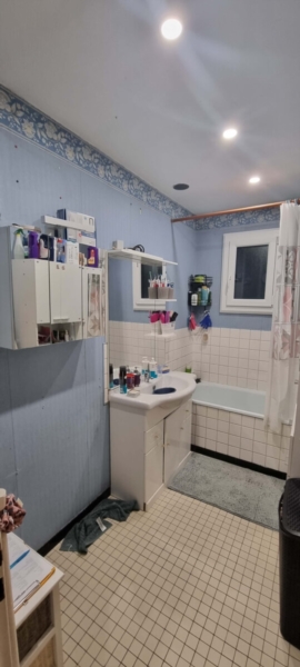 Image 3 : Sanitaire à Bertrange : Lux Salle de Bain Sàrl