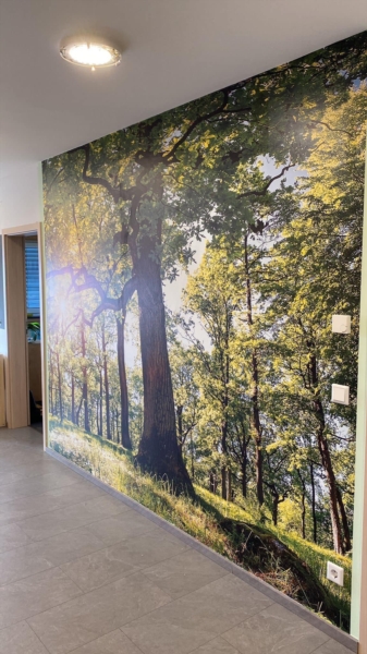 Image 5 : Peinture en bâtiment à Mertert : Stefan Weibler Sàrl