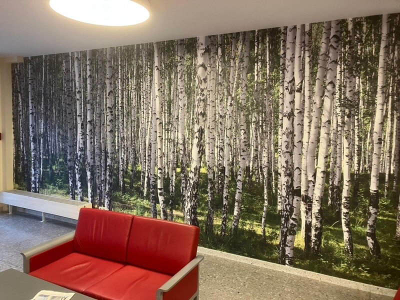Image 8 : Peinture en bâtiment à Berdorf : Peinture de l'Est Sàrl