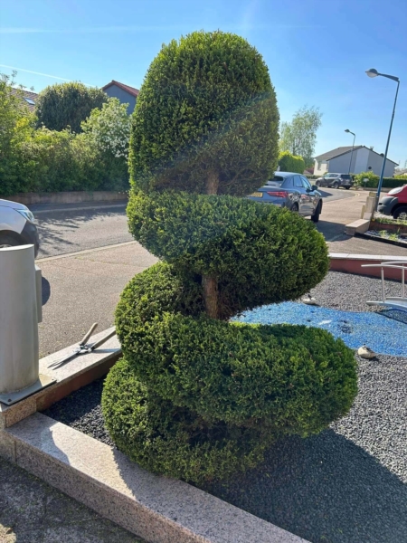 Image 2 : Aménagement paysager à Differdange : IntelPlante - Paysagiste & Jardinier