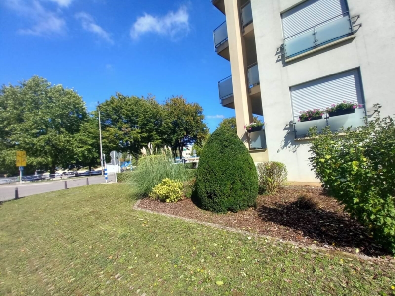 Image 2 : Jardin et espace vert à Ingeldorf : Gärtnerei Sunflower