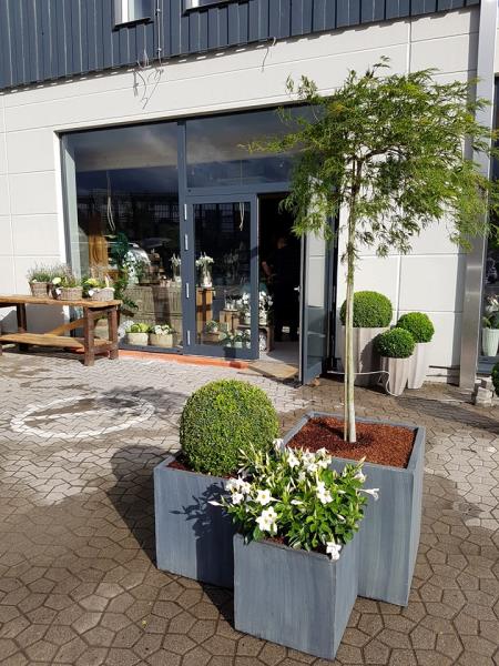 Image 2 : Fleuriste à Junglinster : Fleurs Millenoacht