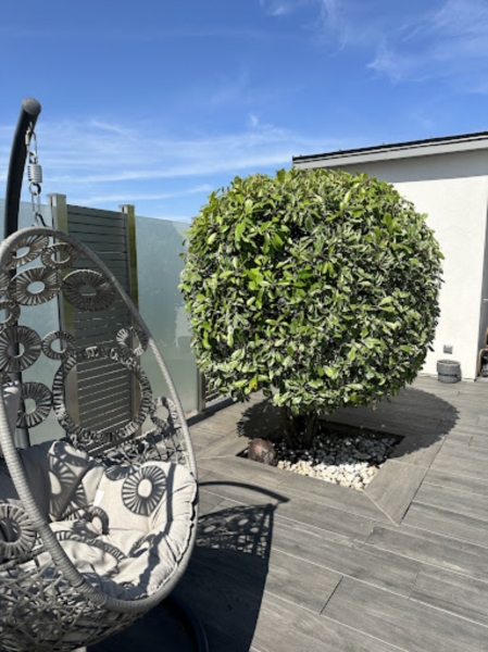 Image 1 : Aménagement paysager à Rodange : Vert Veine Creation Sàrl