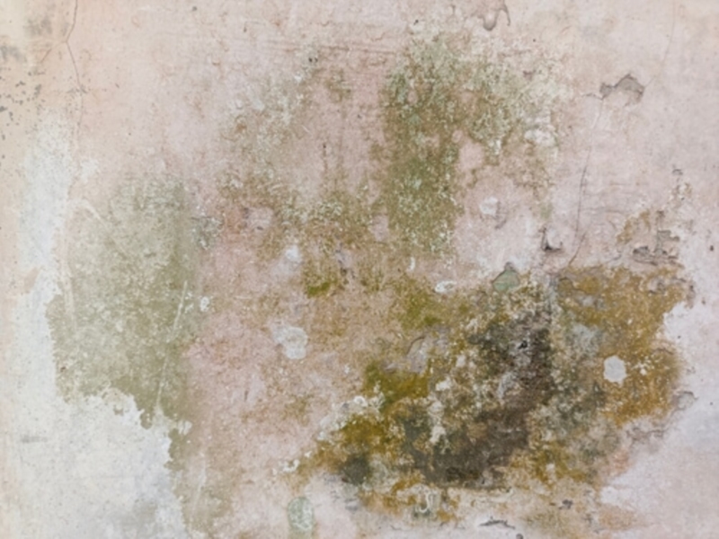 Image 3 : Étanchéité du bâtiment à Rombach-Martelange : Clément Frédéric - Traitement de l'humidité