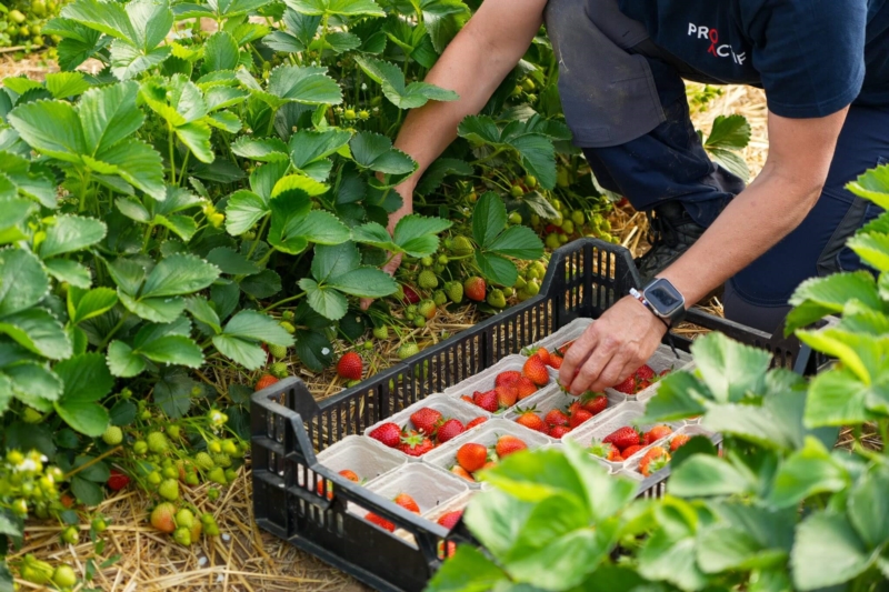 Image 7 : Réinsertion professionnelle à Contern : ProActif SIS