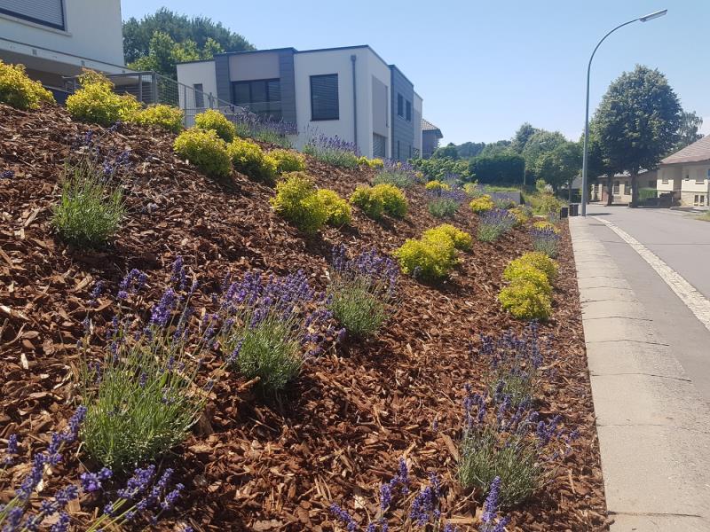 Image 13 : Spécialiste aménagement jardin à Roodt-sur-Syre : Serge Frieden Garten & Landschaftsbau Sàrl