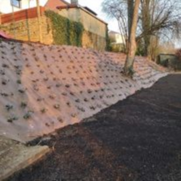 Image 6 : Jardin et espace vert à Rombach-Martelange : Jard'in Arel