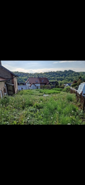 Image 20 : Spécialiste aménagement jardin à Bertrange : TMB Green-Lux Sarl