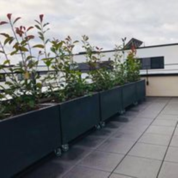 Image 7 : Jardin et espace vert à Rombach-Martelange : Jard'in Arel