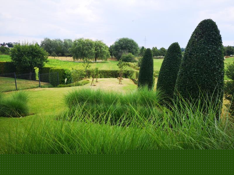 Image 6 : Aménagement paysager à Rodange : Alliance Paysage Sàrl